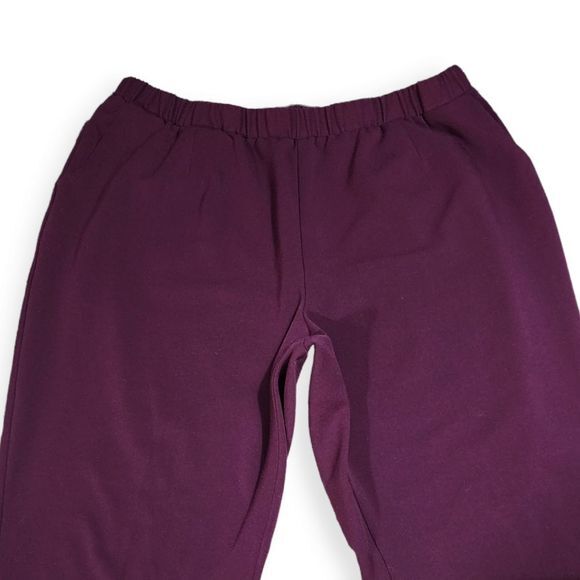 Allison Daley Elastic Waist Pull On Pants w/ Pockets Merlot Purple 16‎ - Picture 3 of 7